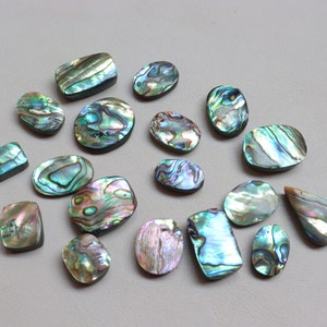 Lotto da 18 pezzi, cabochon di conchiglia di abalone, conchiglia di abalone naturale, pietra preziosa per la creazione di gioielli, pietra sciolta, pietra curativa, conchiglia di abalone #8038