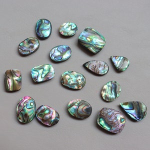 Lotto da 15 pezzi, cabochon di conchiglia di abalone, conchiglia di abalone naturale, pietra preziosa per la creazione di gioielli, pietra sciolta, pietra curativa, conchiglia di abalone #8043