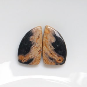 Paire de cabochons de racine de palmier de haute qualité, paire de pierres précieuses assorties de racine de palmier naturelle pour la fabrication de bijoux, pierre de boucle d'oreille, pierre précieuse de designer # 9841