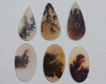 6 Peices Lot, Scenic Dendritic Agate Cabochon, Natural Scenic Dendritic Agate Cabochon, Gemstone, Loose Gemstone, Dendrite Loose Stone #7755