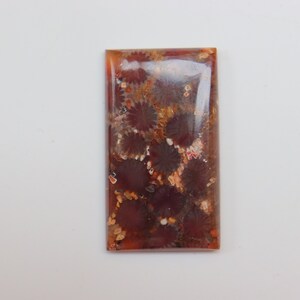 May include: A rectangular, polished, red and brown agate cabochon with a swirling pattern of fossilized sea life.