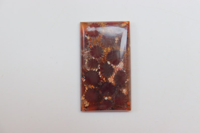 May include: A rectangular, polished, red and brown agate cabochon with a swirling pattern of fossilized sea life.