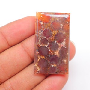 May include: A rectangular, polished, red and brown gemstone with a pattern of fossilized coral. The coral is a light brown color with a white center.