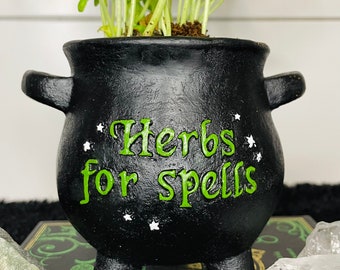 May include: A black cauldron-shaped planter with the words "Herbs for Spells" in green lettering. The planter holds a green herb plant. White star accents are around the text. The cauldron has three legs and two side handles.