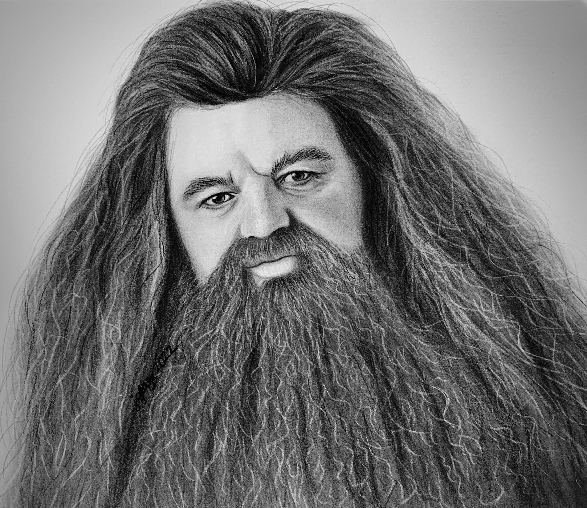 Hagrid From Harry Potter Charcoal Drawing 8.5 X 11 - Etsy Israel