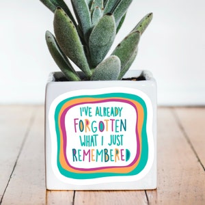 ADHD Already Forgotten What I Just Remembered - ADHD Sticker | Funny Decal | Adult AHDH | Autism | Relatable Neurodivergent Woman Gift