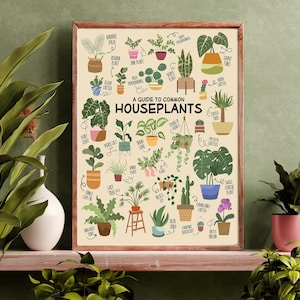 Guide to Common Houseplants Poster - Wall Decor | Plant parent gift | Plant lover poster | Indoor plant home decor