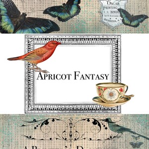 Apricot Fantasy Digital Paper Collection