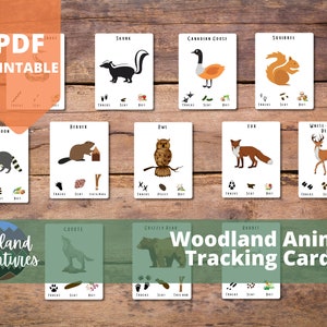 Boreal Forest Animal Tracks - Etsy Denmark Boreal Forest Animal Tracks - Etsy Denmark