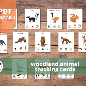Cartes de suivi des animaux des bois • Amérique du Nord • Cartes basées sur la nature • PDF
