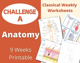 Challenge A - Anatomy - Classical Weekly Worksheets - 9 Weeks