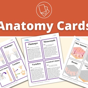 Challenge A - Anatomy - Classical Weekly Worksheets - 9 Weeks - Etsy