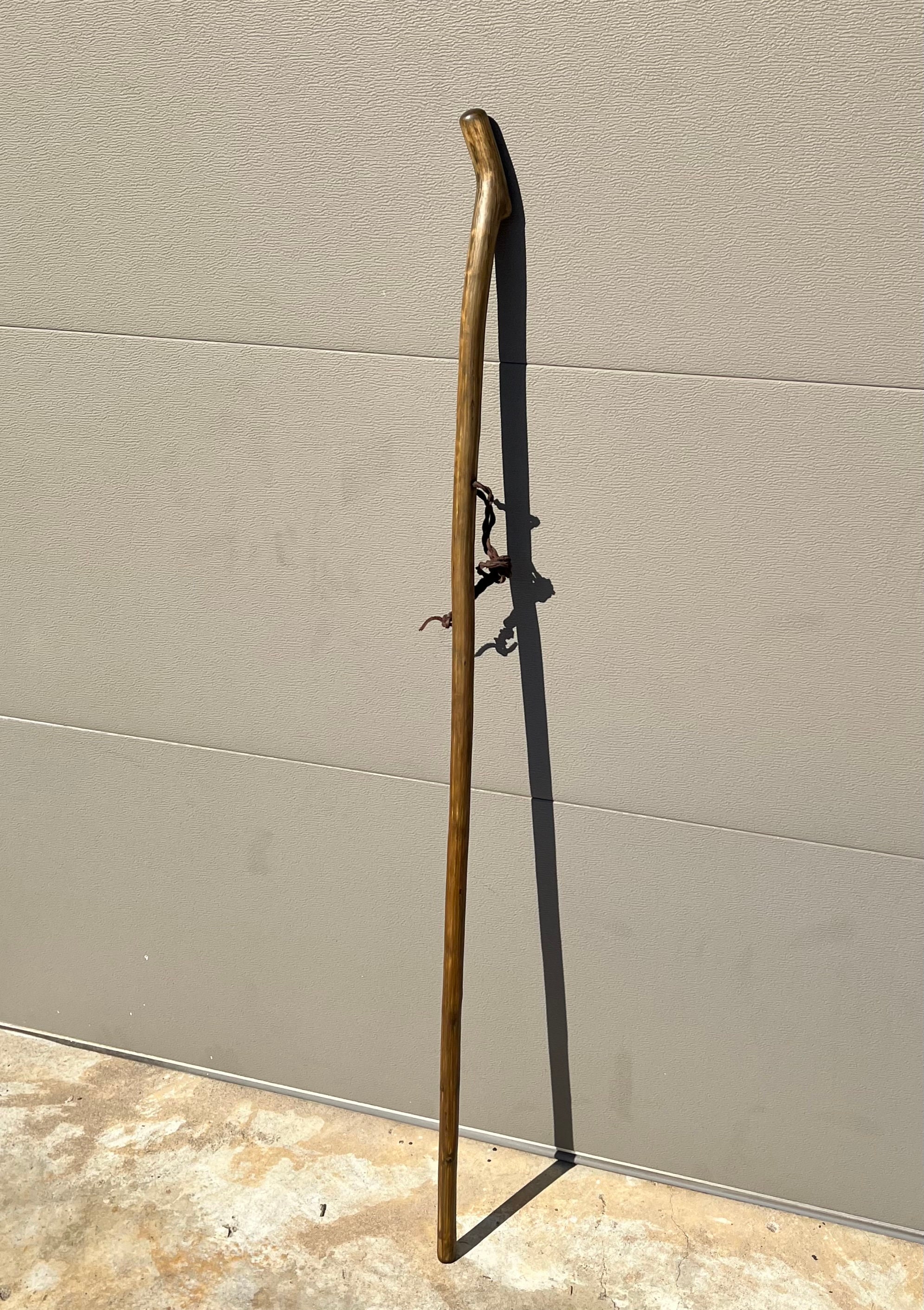 54 Holly Walking Stick Ebonized Etsy
