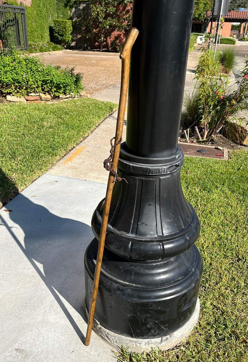 54 Holly Walking Stick Ebonized Etsy