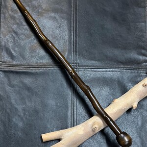May include: A dark brown wooden wand with a rounded handle and a tapered tip. The wand is approximately 14 inches long and has a natural, textured appearance. It rests on a light brown wooden branch.