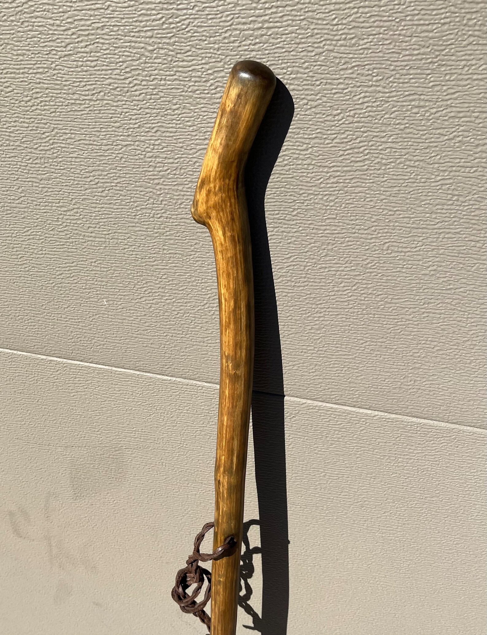 54 Holly Walking Stick Ebonized Etsy