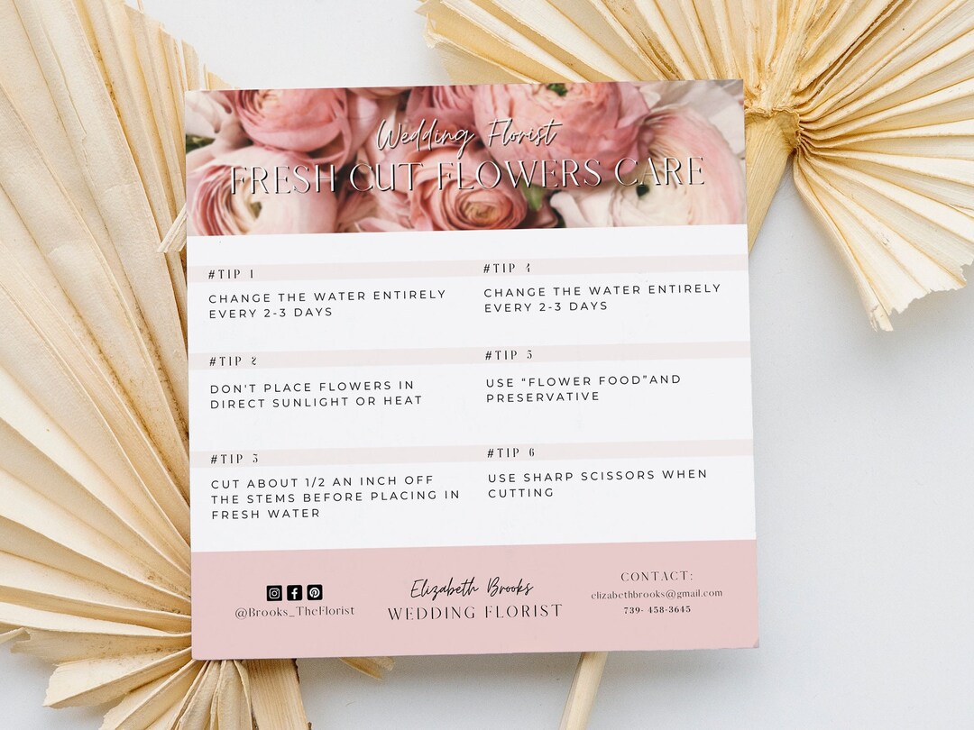 Fresh Cut Flowers Care Florist Care Instructions Canva Etsy