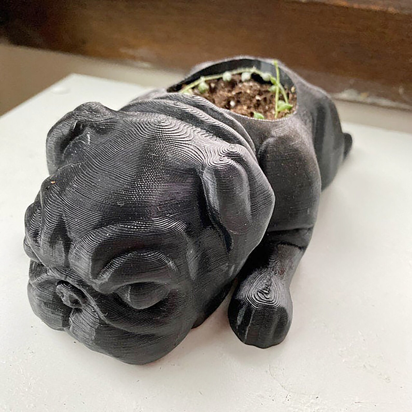 Cute Dog Planter English Bulldog Pot English Bulldog Gift | Etsy