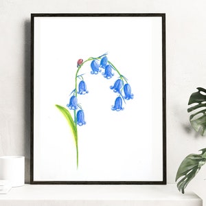 Marienkäfer und Bluebonnet Original Aquarell Gemälde, Drucke und Karten. Blumenkunst, Marienkäfer, Botanische Kunst, Blaue Wanddekoration