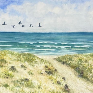 Pellicani in volo