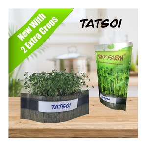TATSOI MICROGREENS - Grow delicious, nutritious microgreens in a matter of days. Kit includes everything to grow 3 batches.