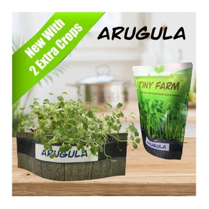 ARUGULA MICROGREENS - Grow delicious, nutritious microgreens in a matter of days. Kit includes everything to grow 3 batches.