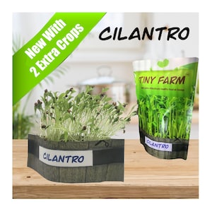CILANTRO MICROGREENS - Grow delicious, nutritious microgreens in a matter of days. Kit includes everything to grow 3 batches.