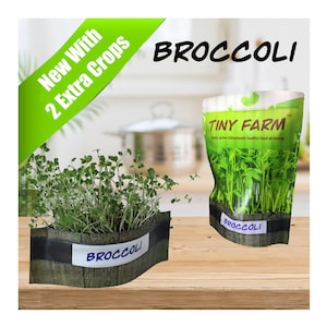 BROCCOLI MICROGREENS - Grow delicious, nutritious microgreens in a matter of days. Kit includes everything to grow 3 batches.