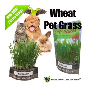 Organic Wheat Pet Grass - Grow your own healthy, organic pet grass. Kit includes everything to grow 3 batches.