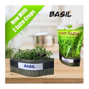 BASIL MICROGREENS - Grow delicious, nutritious microgreens in a matter of days. Kit includes everything to grow 3 batches.