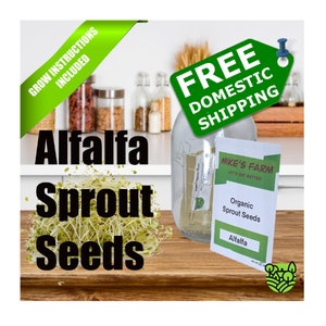 Alfalfa Sprout Seeds. Selected Organic, Non-GMO, Premium Quality Sprout Seeds With High Germination Rate.