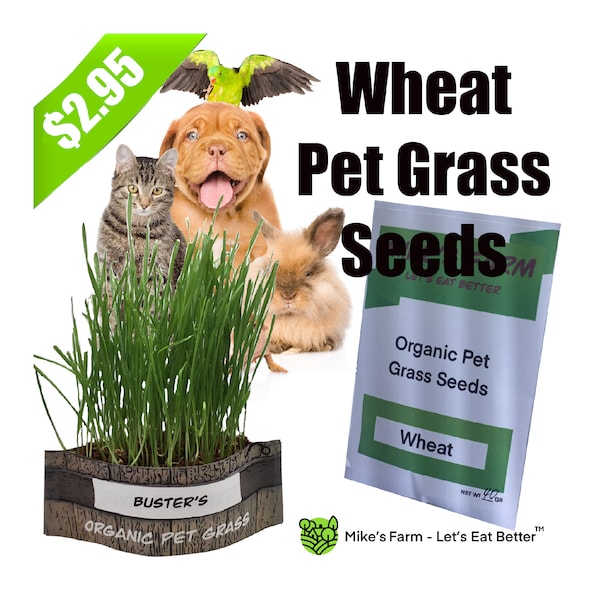 Organic Wheat Pet Grass Seeds. Selected Non-GMO, Premium Quality Pet Grass Seeds With High Germination Rate.