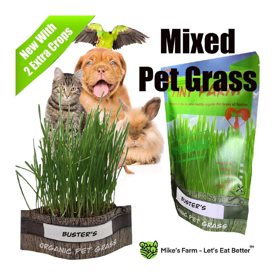 Organic Pet Grass Mix Grow Your Own Healthy, Organic Pet Grass. Kit