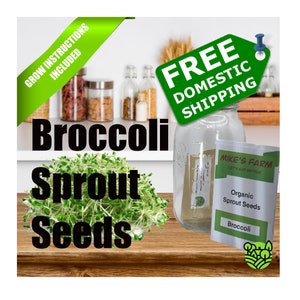 Broccoli Sprout Seeds. Selected Organic, Non-GMO, Premium Quality Seeds With High Germination Rate.