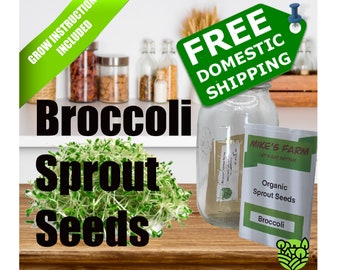 Broccoli Sprout Seeds. Selected Organic, Non-GMO, Premium Quality Seeds With High Germination Rate.