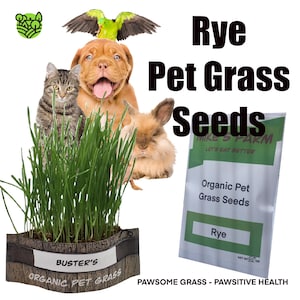 Organic Rye Pet Grass Seeds. Selected Non-GMO, Premium Quality Pet Grass Seeds With High Germination Rate.