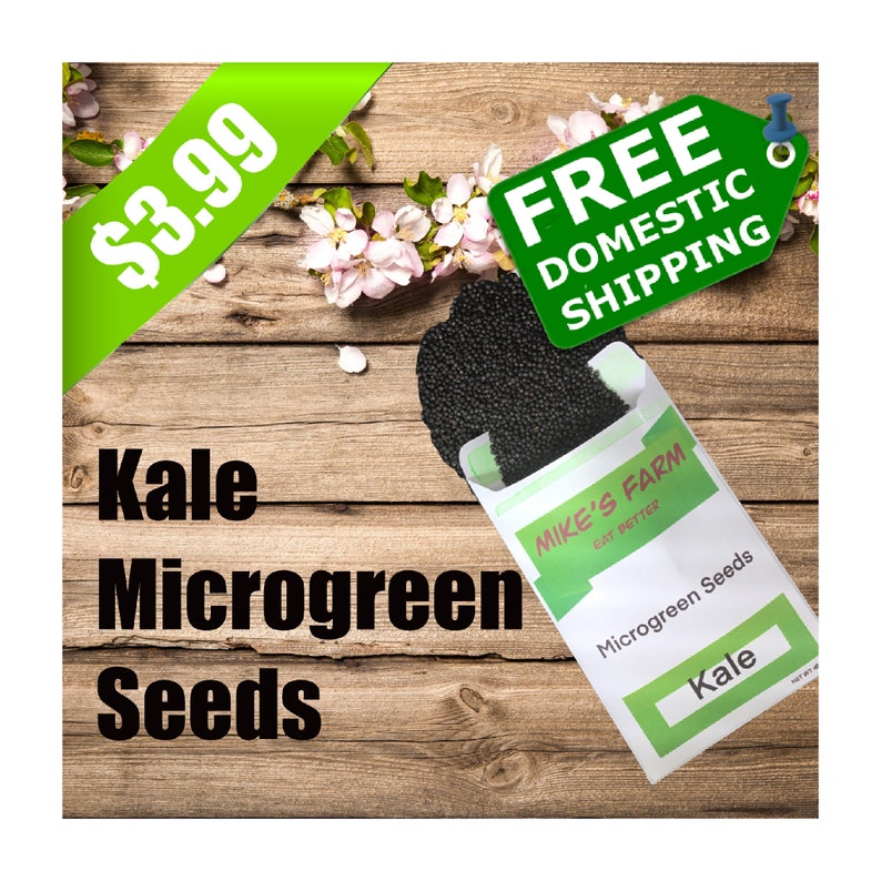 Kale Microgreen Seeds. Organic Nongmo Heirloom Premium Etsy