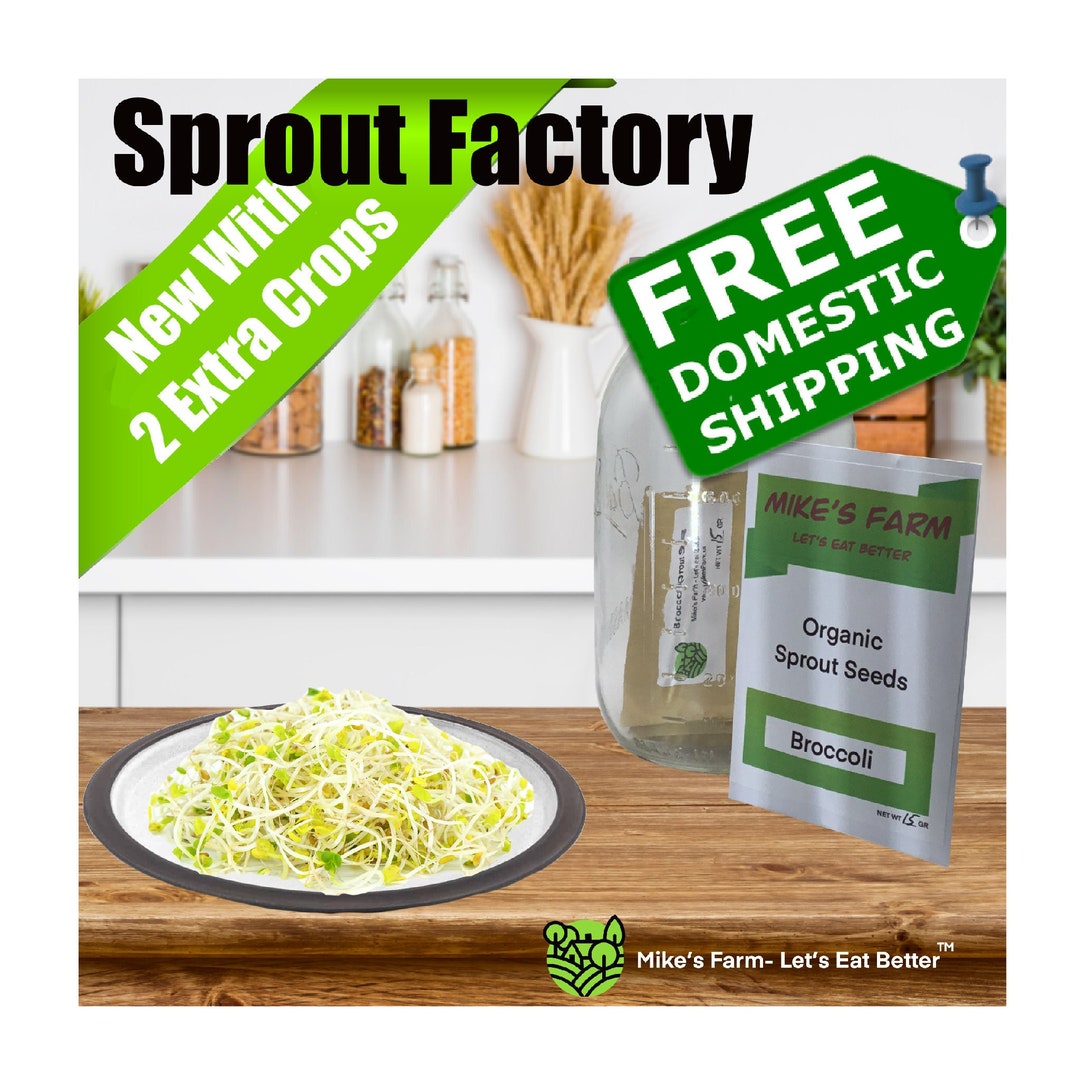 Organic Broccoli Sprout Kit Grow Your Own Delicious, farm Fresh Sprouts