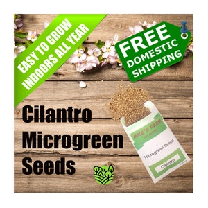 Cilantro Microgreen Seeds. Organic, Non-GMO, Heirloom, Premium Quality Seeds with High Germination Rate.