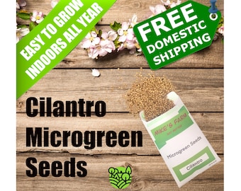 Cilantro Microgreen Seeds. Organic, Non-GMO, Heirloom, Premium Quality Seeds with High Germination Rate.