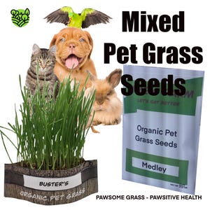 Organic Mixed Pet Grass Seeds. Selected Non-GMO, Premium Quality Pet Grass Seeds With High Germination Rate.