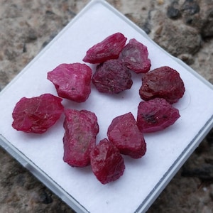 May include: A collection of nine raw, unpolished ruby gemstones with deep red hues and irregular, jagged crystalline shapes. These stones are arranged in a cluster on a square white display card, showcasing natural textures and varied facets.