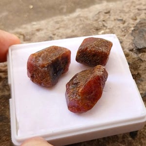 以下が含まれることがあります： 深い赤褐色の色合いと不規則で質感のある表面を持つ、未研磨の原石3つ。これらの石は正方形の白いプラスチックトレイの上に置かれており、その自然で有機的な形状と、濃淡のある色調がはっきりと示されています。