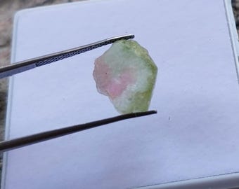 9 Carat Bi-Color Tourmaline Raw Gemstone: 14x11x8mm Pendant Jewelry