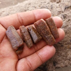 May include: Five raw, unpolished, elongated mineral crystals with a rough, textured surface. These stones exhibit a deep reddish-brown colour with varying shades of earthy brown throughout their opaque, cylindrical, and slightly irregular forms.