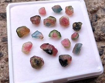 Watermelon Tourmaline Rough: 17 pc Bi-Color Gemstone
