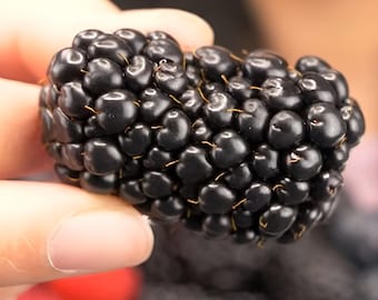 Big Daddy Blackberry 4 to 6 inch Live Starter Plant Thornless Blackberry Bush Live Plant Sweet Baby Fruit Shrub