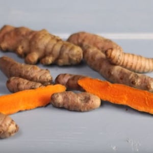 Yellow Turmeric 4 to 6 inch Live Starter Plant &quot;Curcuma longa&quot; Spice and Herb