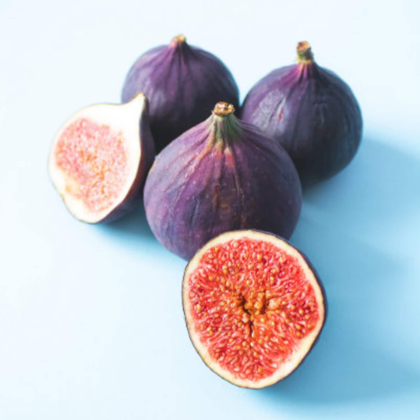 Lsu Purple Fig Tree Ficus Carica Purple Fig Tree Live Plant 6 Etsy