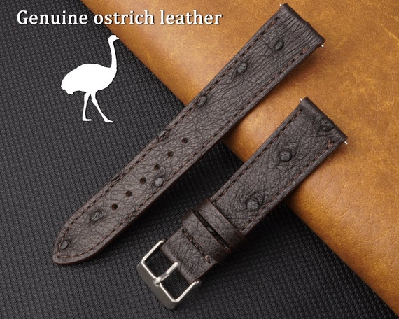 Note Paper Holder - Ostrich Leather - Black